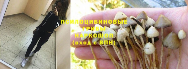 mdpv Коряжма