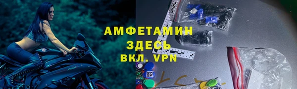 трава Корсаков