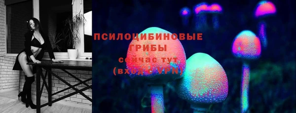 трава Корсаков