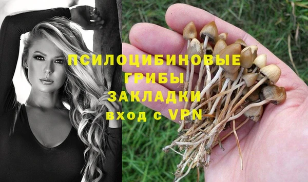 стафф Козельск