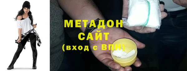 трава Корсаков