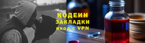 трава Корсаков