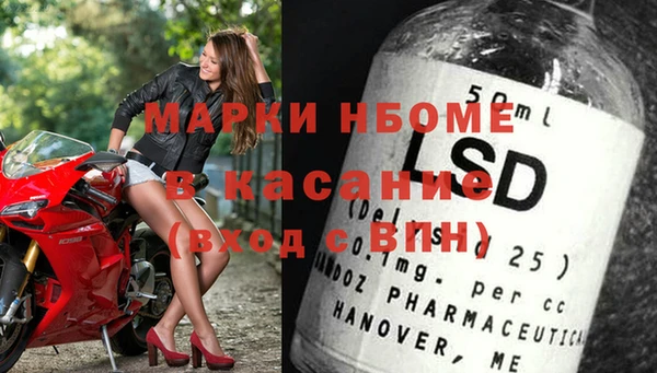 трава Корсаков
