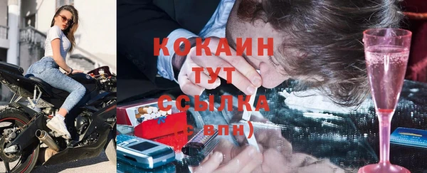 трава Корсаков