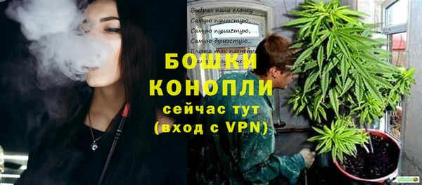 трава Корсаков