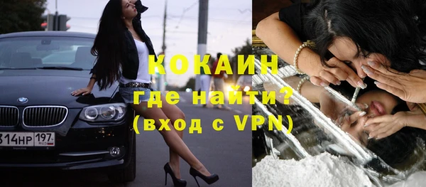 трава Корсаков