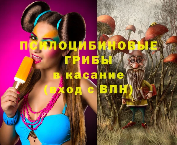 mdpv Коряжма